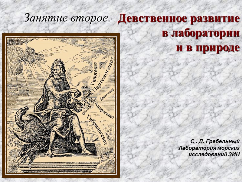 Занятие второе.   С . Д. Гребельный  Лаборатория морских исследований ЗИН Девственное